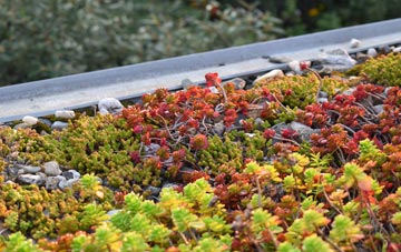 the cost of Browns End green roof installation