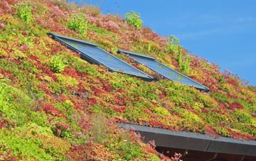 Browns End living roof systems